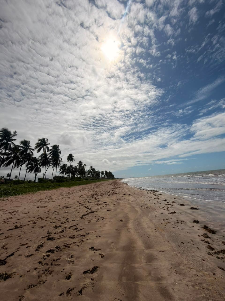 Caminho de areia cercado por vegetação litorânea em direção à praia